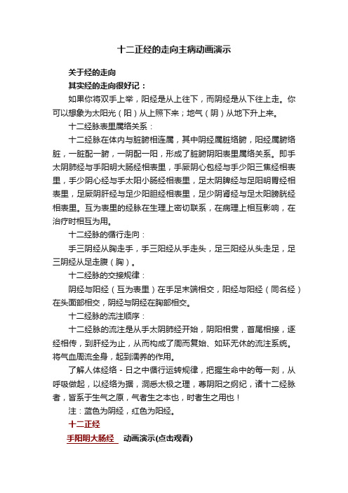 十二正经的走向主病动画演示