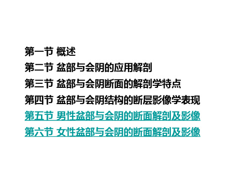 人体断面与影像解剖学盆部与会阴之一-文档资料