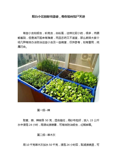 阳台小花园蚜虫肆虐，教你如何毁尸灭迹