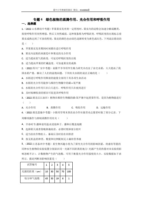 专题04 绿色植物的蒸腾作用、光合作用和呼吸作用-2022年中考生物真题分项汇编(全国通用