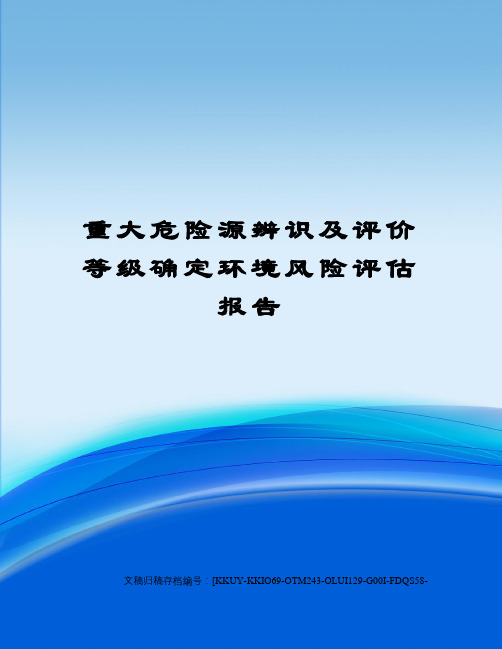 重大危险源辨识及评价等级确定环境风险评估报告