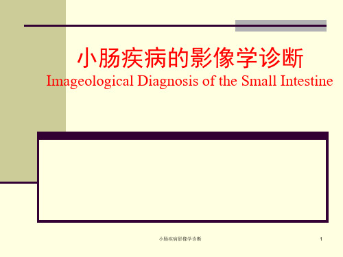 小肠疾病影像学诊断课件