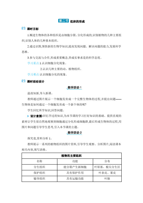 2024年冀少版七年级生物上册生物体的结构层次第二章  组织、器官、系统和生物体第二节 组织的形成