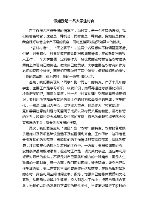 假如我是一名大学生村官