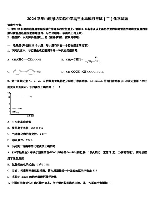 2024学年山东潍坊实验中学高三全真模拟考试(二)化学试题含解析