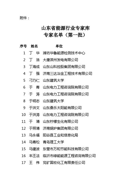 山东省能源行业专家库专家名单(第一批)