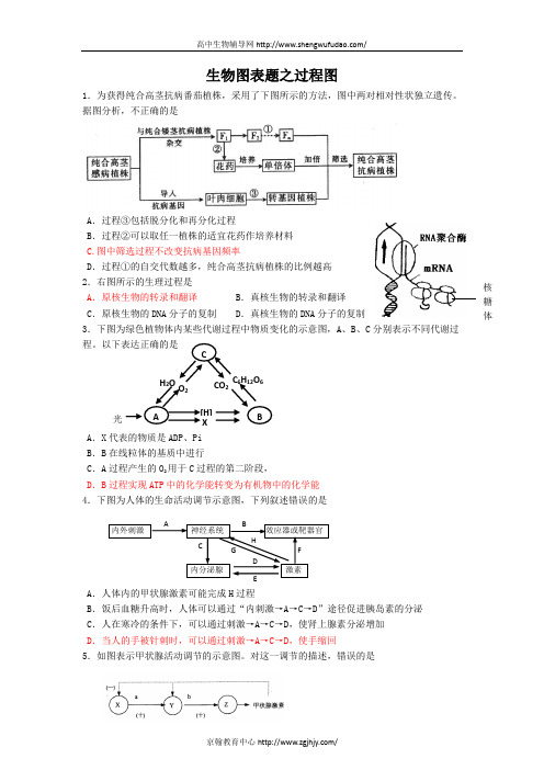 高考生物图表题之过程图专题训练及答案