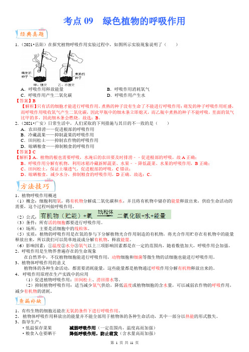 中考生物一轮复习考点微专题考点09 绿色植物的呼吸作用