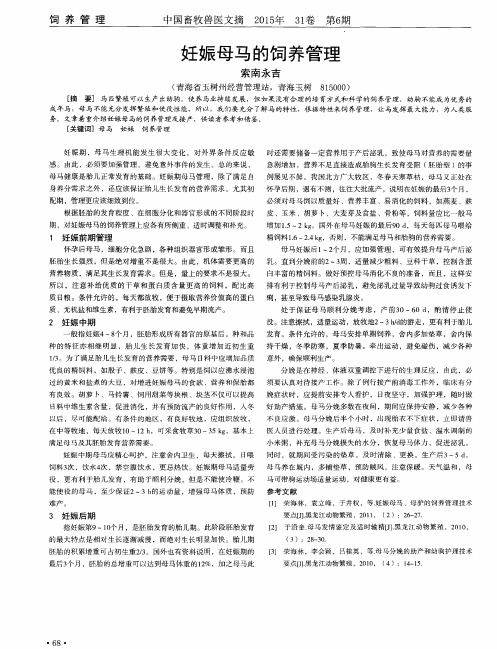 妊娠母马的饲养管理