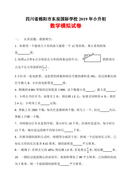 四川省绵阳市东辰国际学校 2019年小升初 数学模拟试卷
