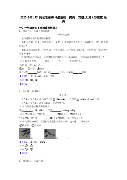 一年级2020-2021年 阅读理解练习题基础、提高、难题_汇总(含答案)经典