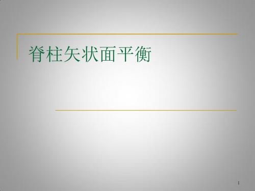 脊柱矢状面平衡ppt课件