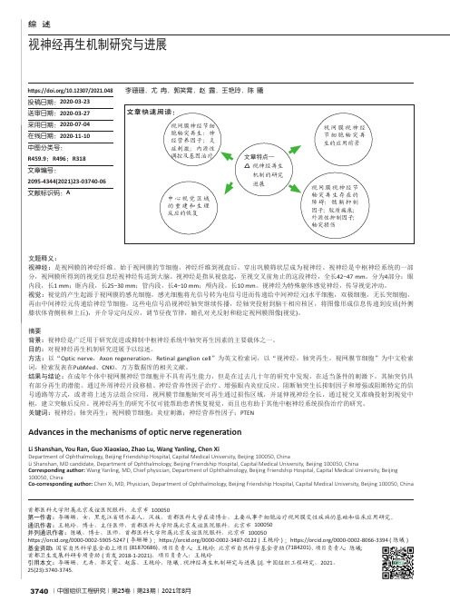 视神经再生机制研究与进展