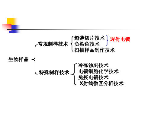 4生物样品超薄切片技术