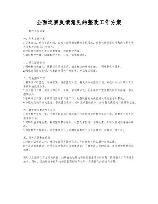 全面巡察反馈意见的整改工作方案