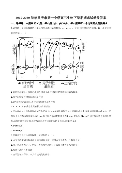 2019-2020学年重庆市第一中学高三生物下学期期末试卷及答案