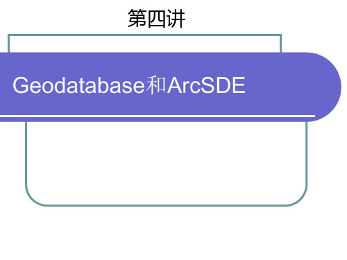 第四讲 Geodatabase和ArcSDE