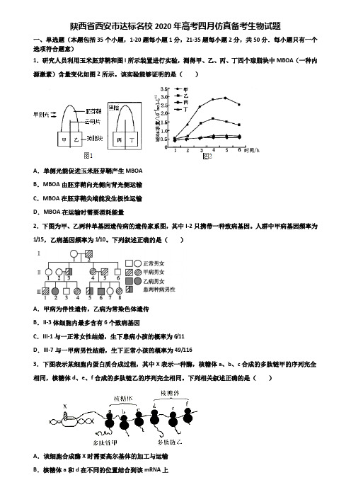 陕西省西安市达标名校2020年高考四月仿真备考生物试题含解析