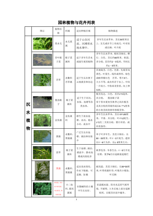 重庆市常见园林植物与花卉