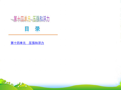 (广东专用)中考物理复习方案 第十四单元 压强和浮力(新课标)课件 新人教