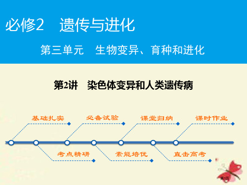 高考生物复习第3单元生物的变异育种和进化第2讲染色体变异和人类遗传病必修全国公开课一等奖百校联赛示范