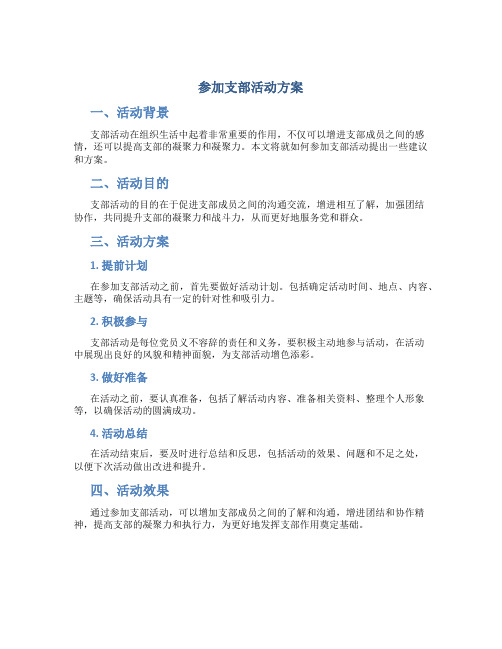 参加支部活动方案