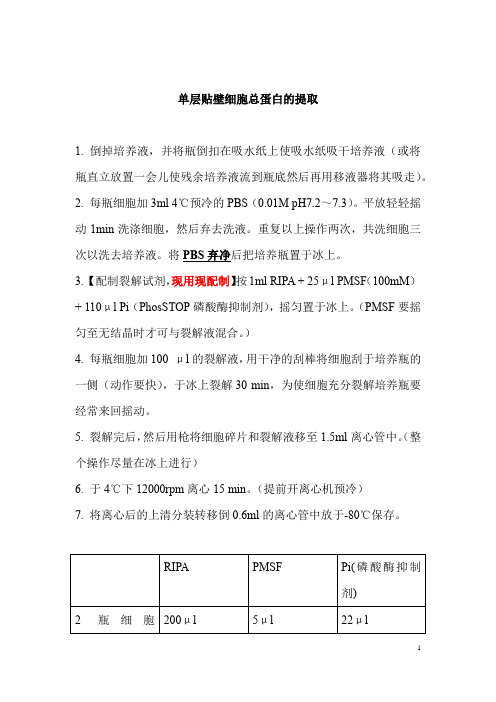 细胞蛋白提取方法