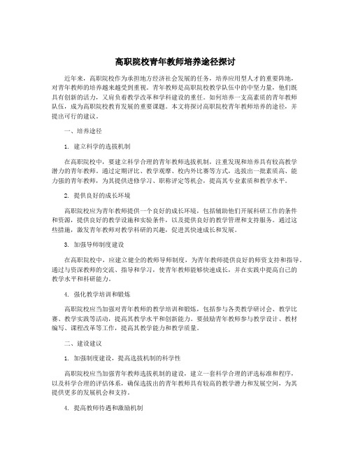 高职院校青年教师培养途径探讨