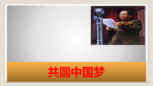 人教部编版道德与法治九年级上册：8.1《共圆中国梦》(15)(22)