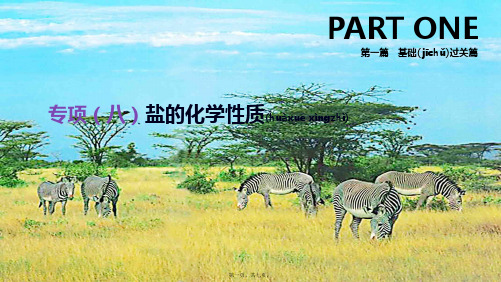 中考化学复习 第一篇 基础过关篇 专项(八)盐的化学性质课件