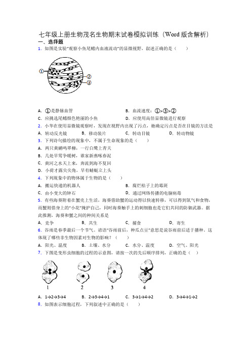 七年级上册生物茂名生物期末试卷模拟训练(Word版含解析)