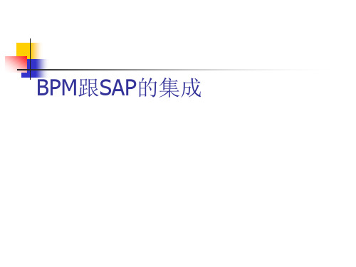 BPM跟SAP的集成简述