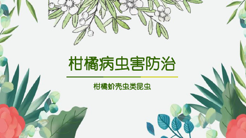 柑橘病虫害防控 柑橘蚧壳虫类害虫