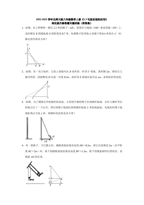 勾股定理的应用 培优提升解答题专题训练 2021-2022学年北师大版八年级数学上册  