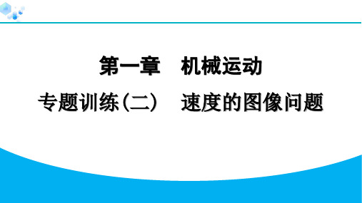 八年级上册物理【课后练】专题训练(二) 速度的图像问题