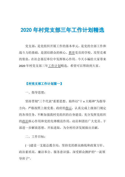 2020年村党支部三年工作计划精选