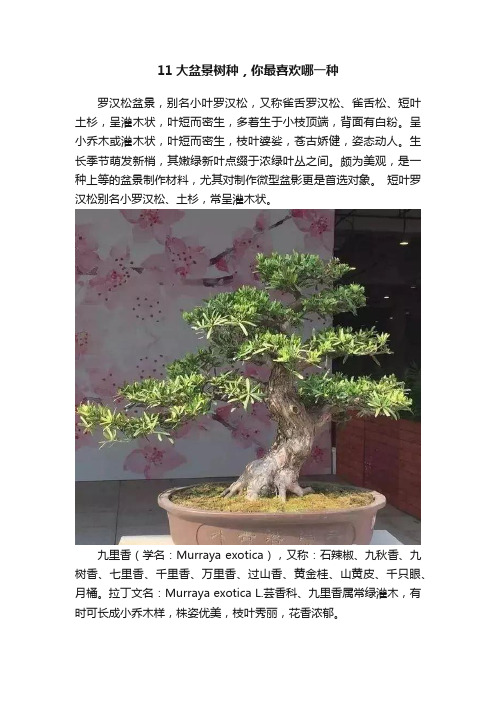 11大盆景树种，你最喜欢哪一种