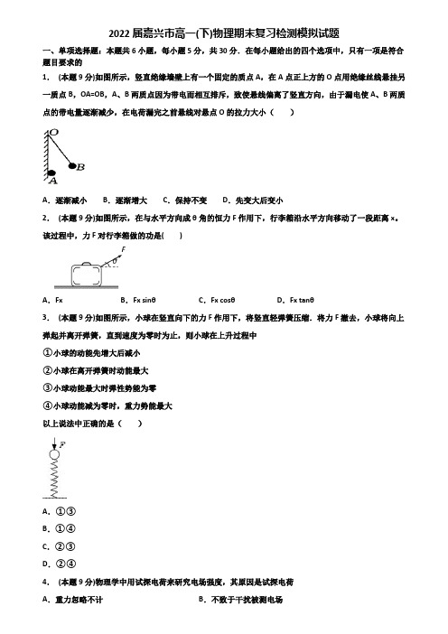 2022届嘉兴市高一(下)物理期末复习检测模拟试题含解析