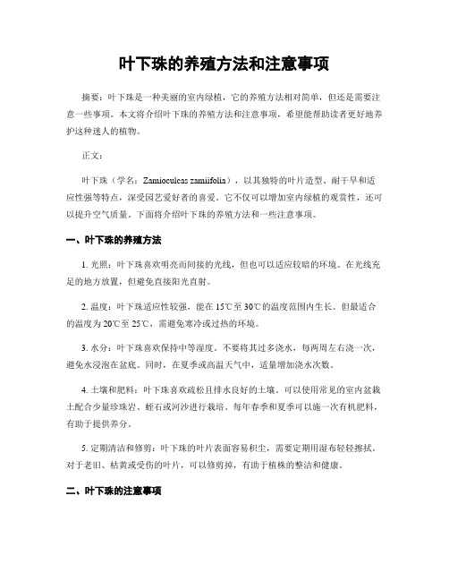 叶下珠的养殖方法和注意事项