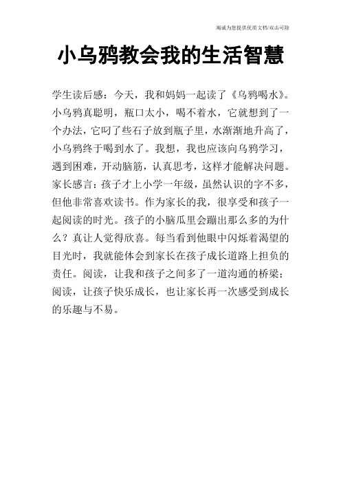 小乌鸦教会我的生活智慧