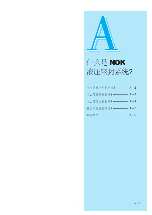 NOK密封件大全