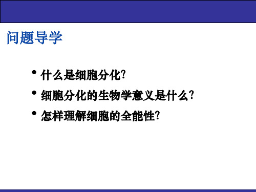 细胞的分化 课件(1个视频)人教版 必修1