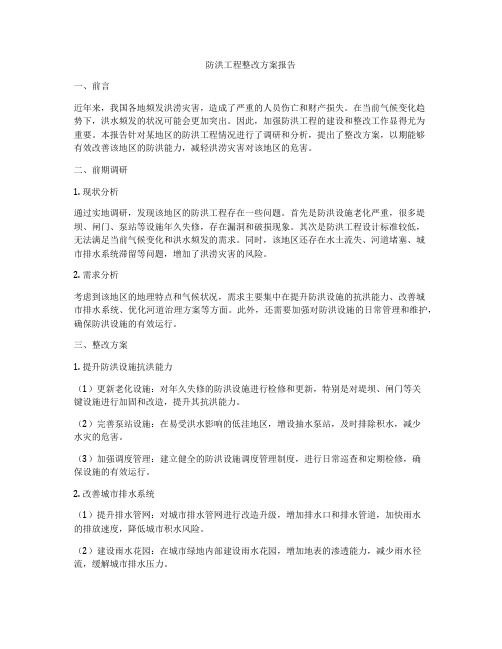 防洪工程整改方案报告