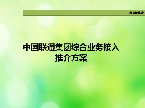 中国联通集团综合业务接入推介方案培训课件(ppt 37页)