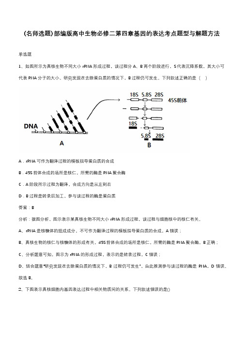 部编版高中生物必修二第四章基因的表达考点题型与解题方法