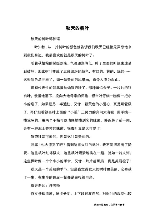 秋天的树叶_优秀作文_2