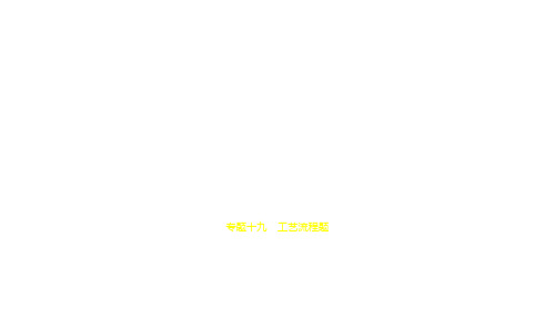 2021年河南中考化学复习练习课件：19专题十九 工艺流程题