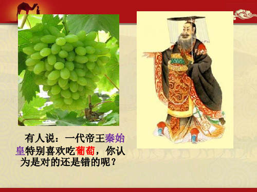 【高中历史】14课沟通中外文明的丝绸之路定版
