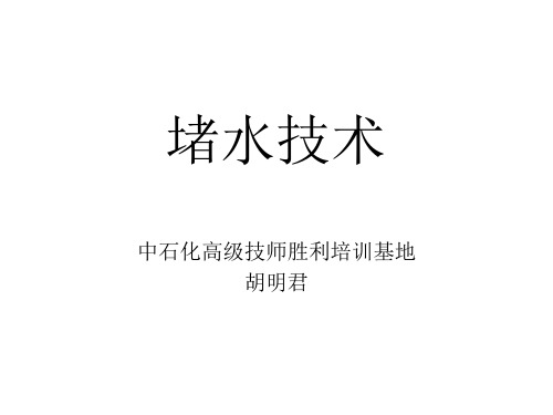 堵水技术