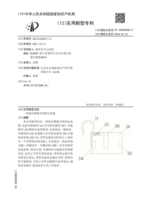 一种颈内静脉导管固定装置[实用新型专利]